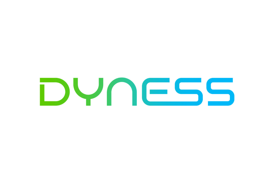 dyness logotyp, solcellsbatteri varumärke från Kina